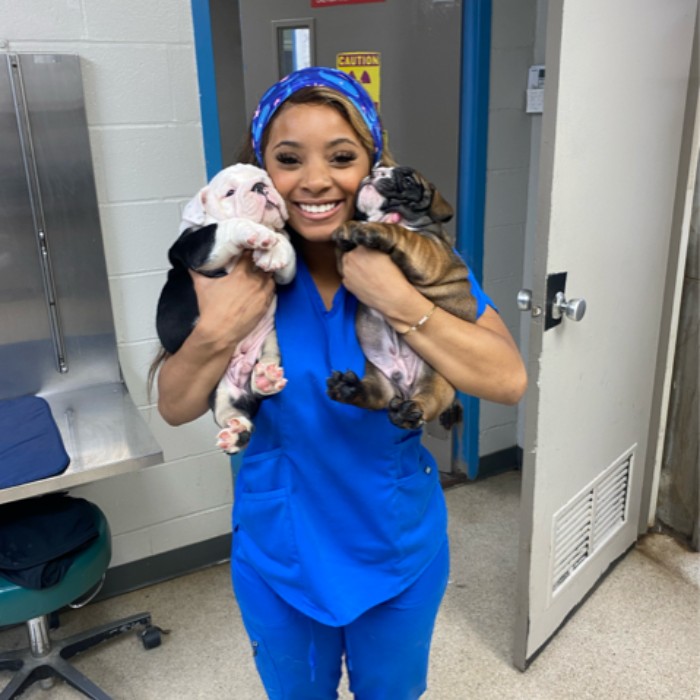 Brooks Road Animal Hospital staff holding puppies