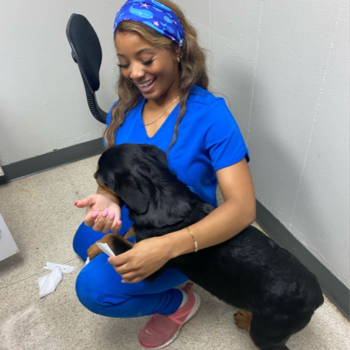 Brooks Road Animal Hospital working with puppy